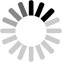 Surfing Cat T-Shirt | Funny Bikini Cat Graphic Tee | 3D All-Over Print Unisex Shirt